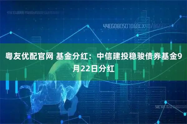 粤友优配官网 基金分红:中信建投稳骏债券基金9月22日分红